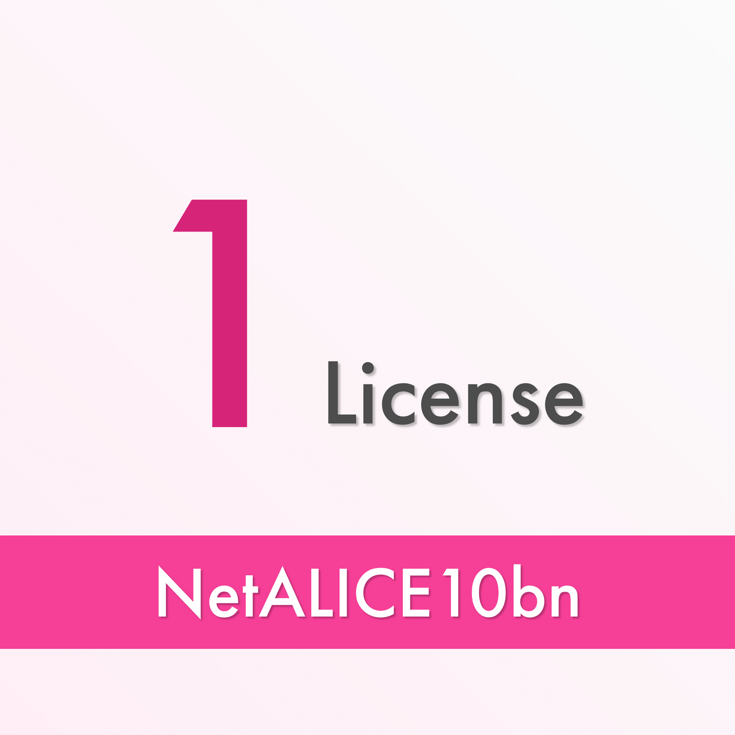 NetALICE10bn