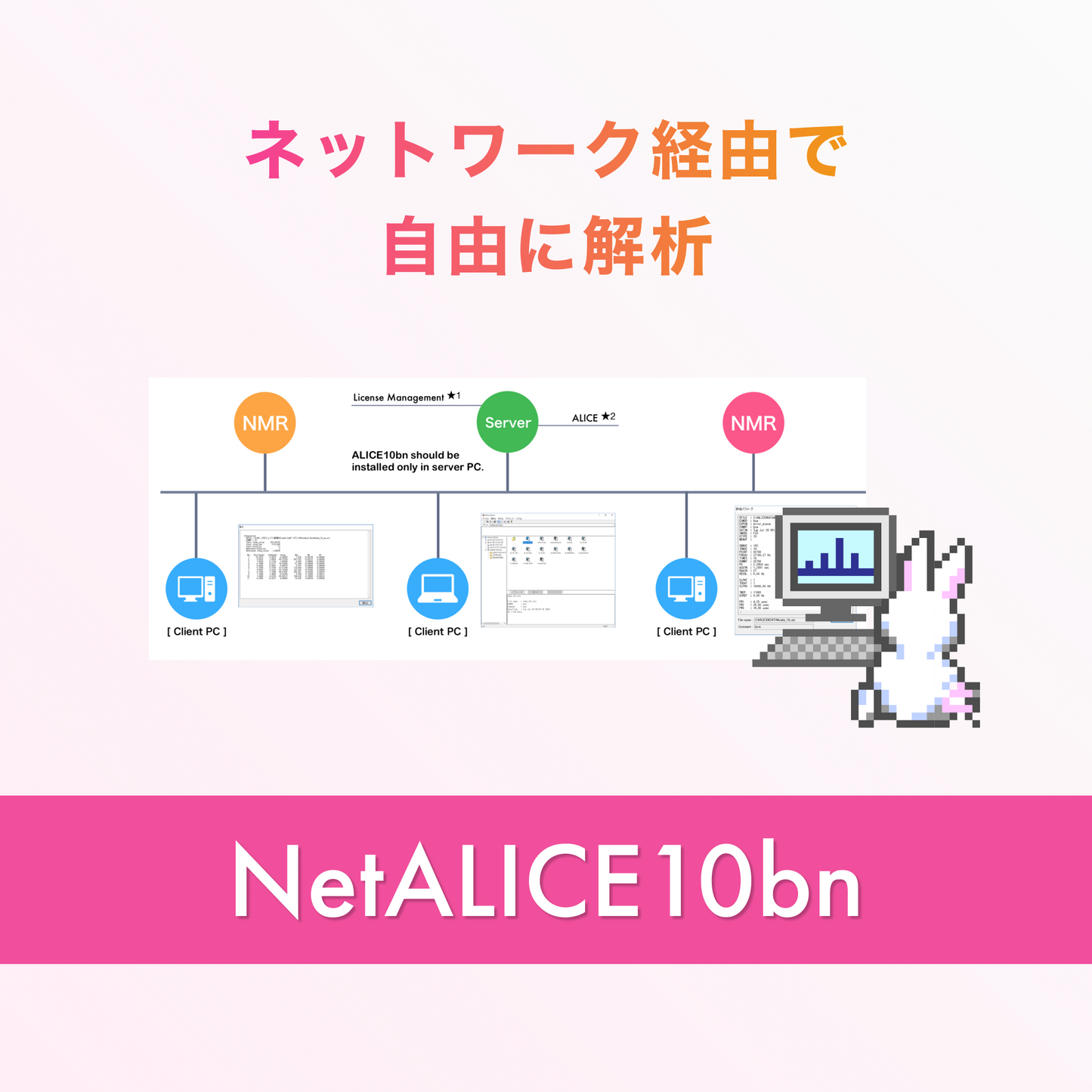 NetALICE10bn