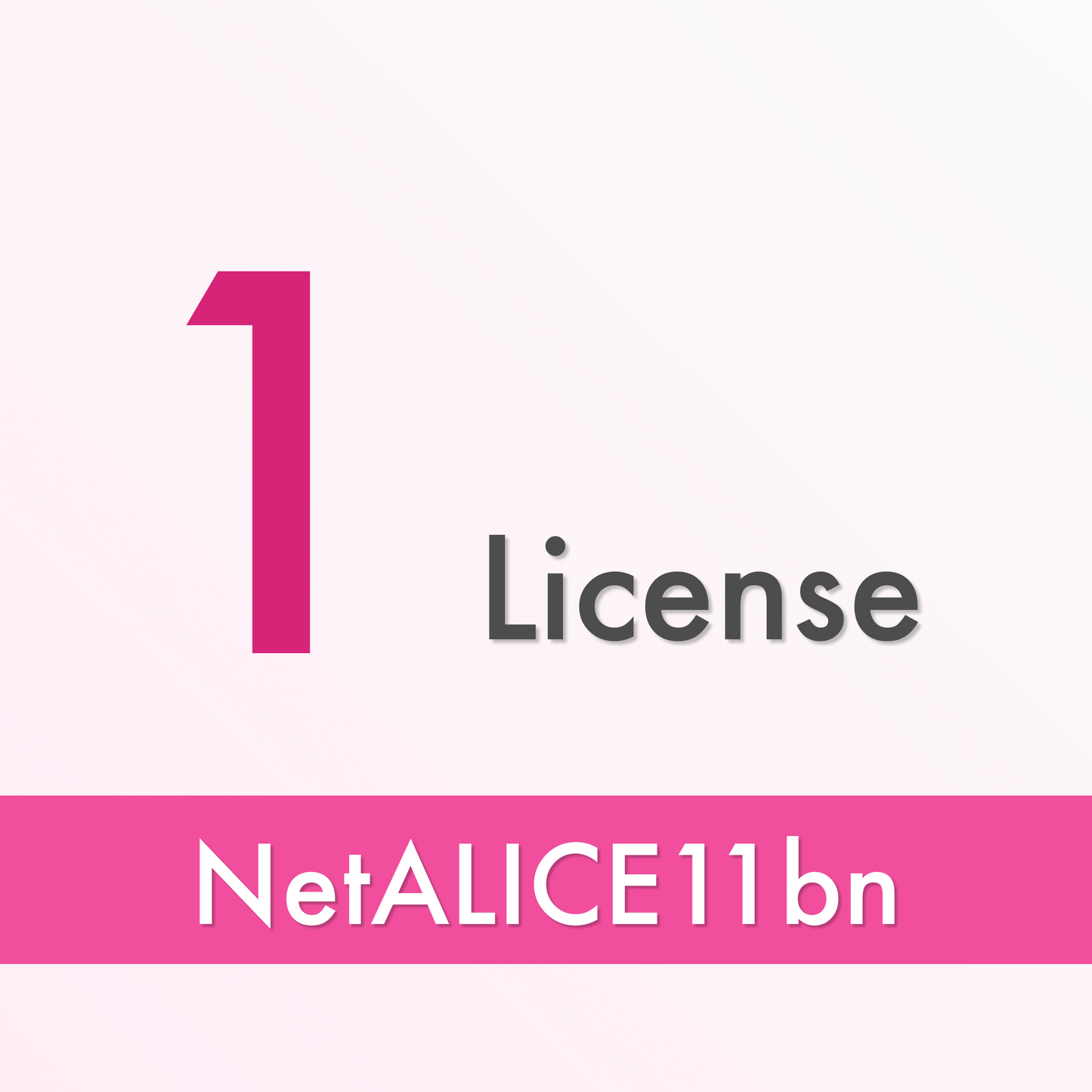 NetALICE10bn