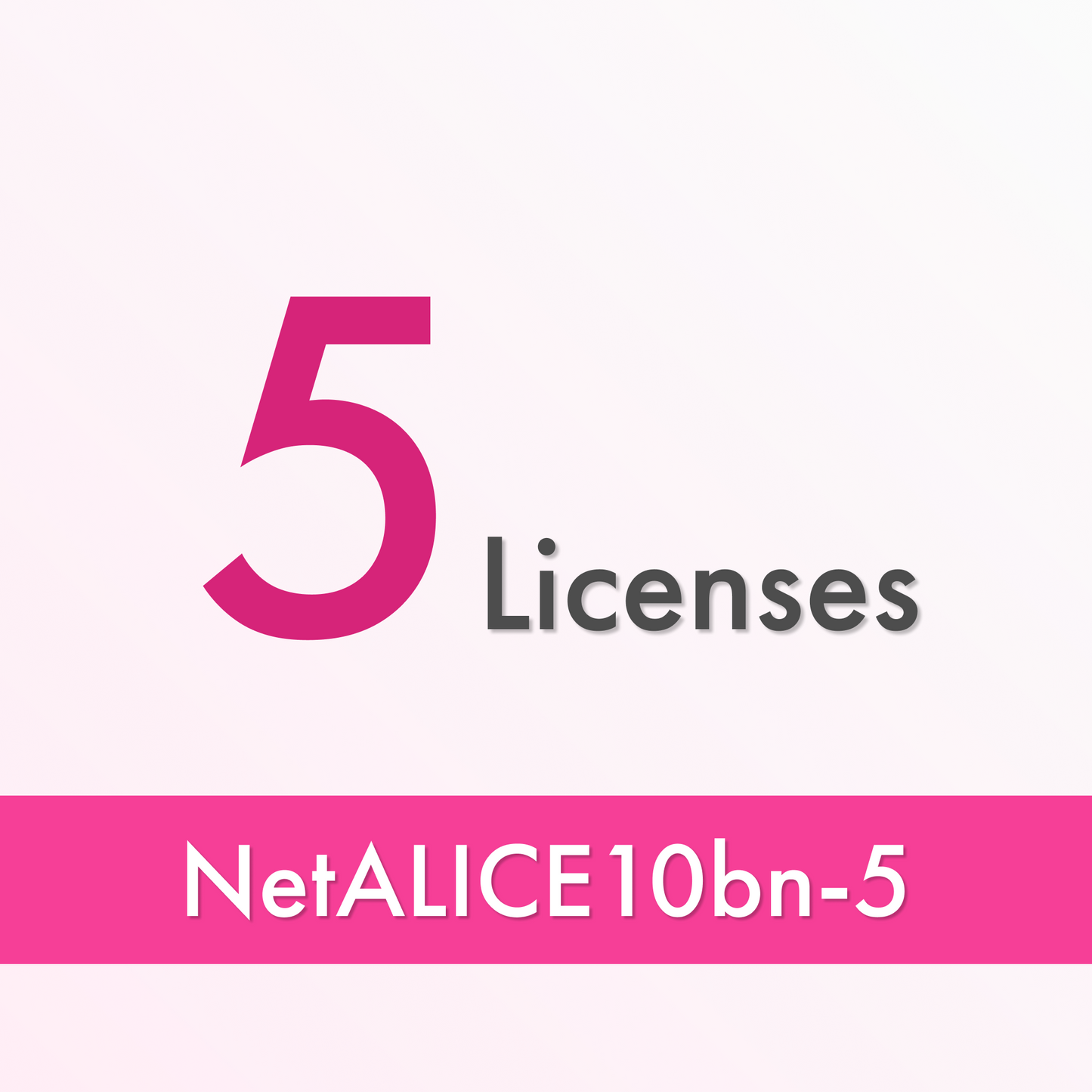 NetALICE10bn